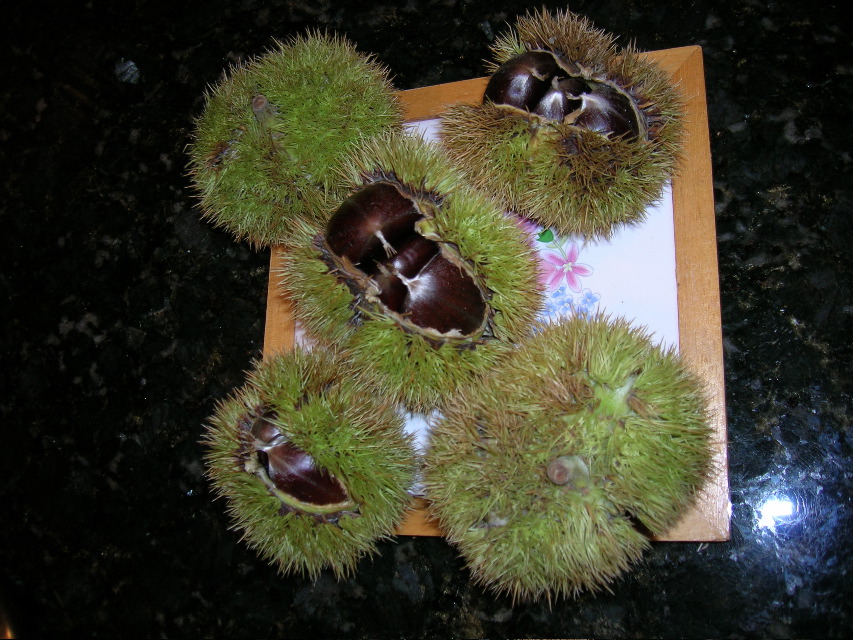 Chestnuts on a tile